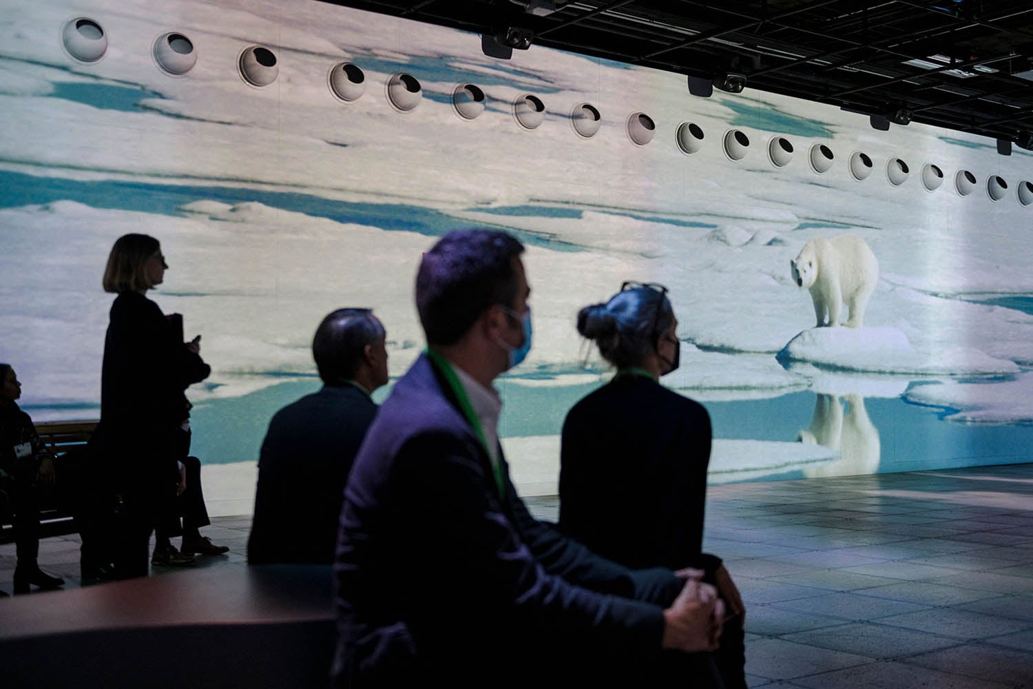 A nature scene representing biodiversity conservation successes often overlooked by doom-focused media coverage