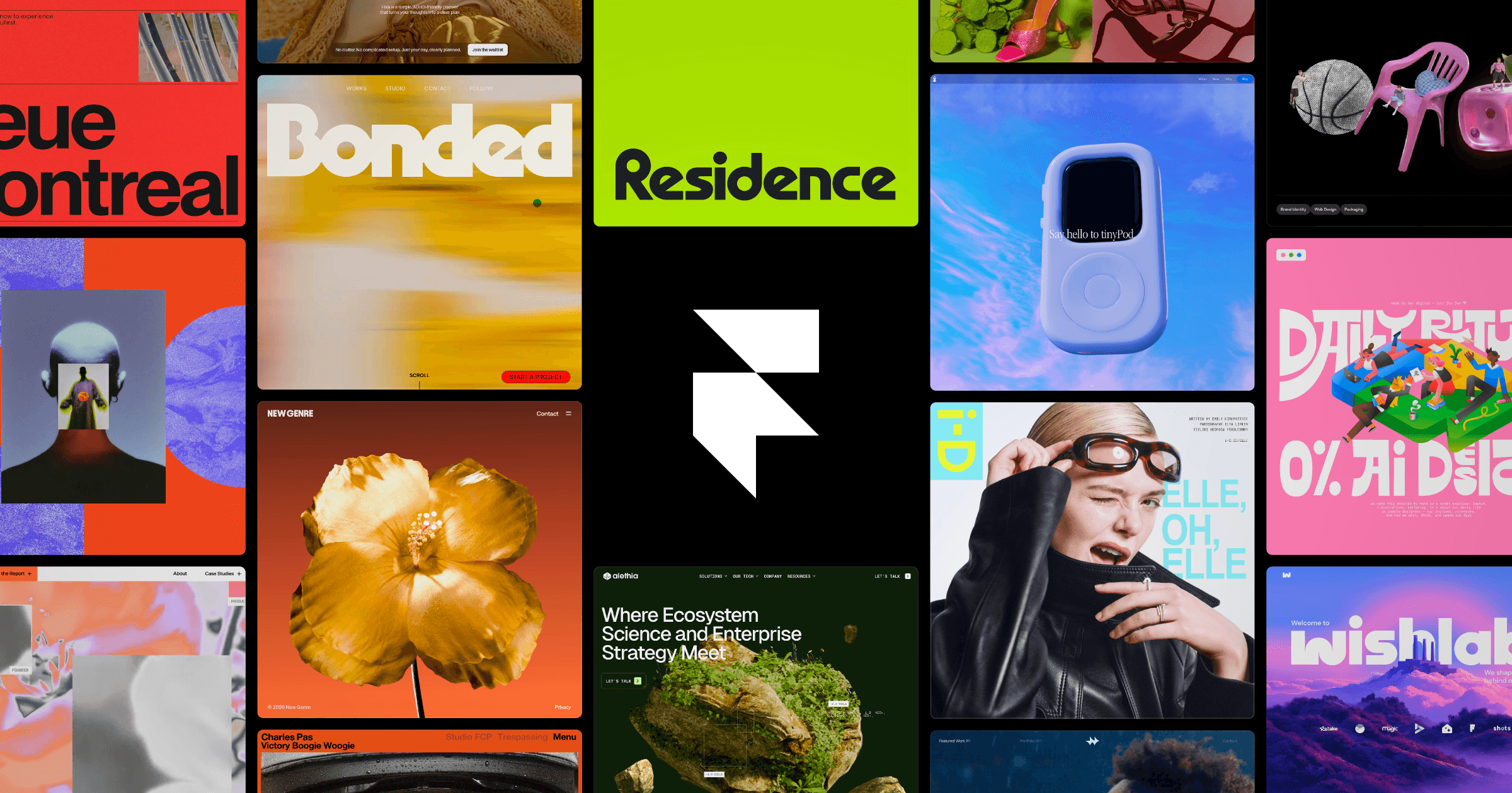 Framer Updates