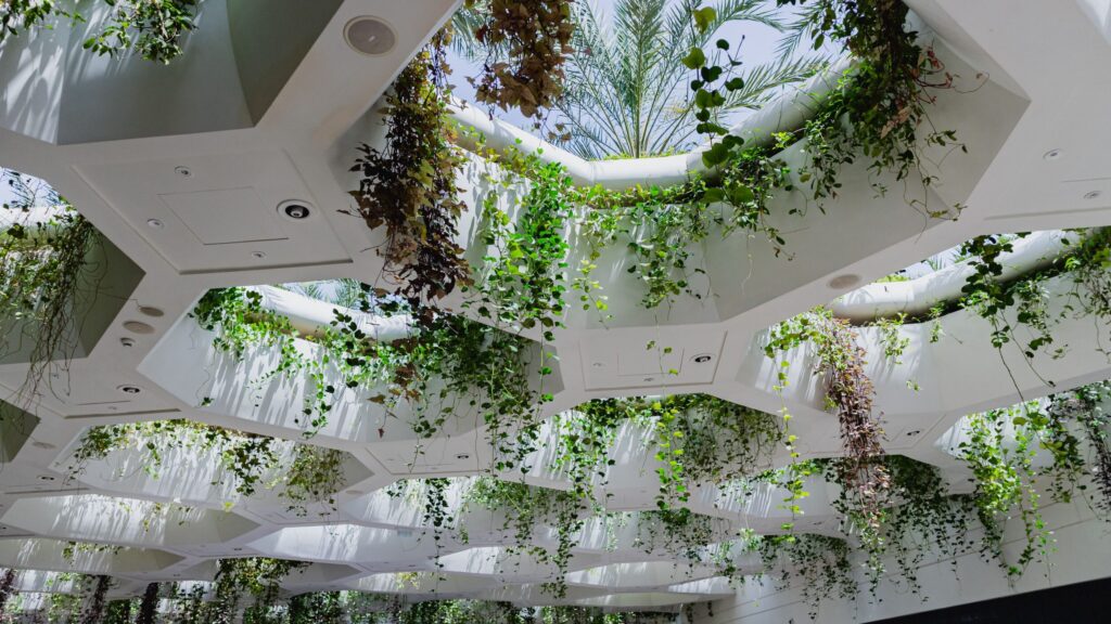 Biophilic Design garden illustration