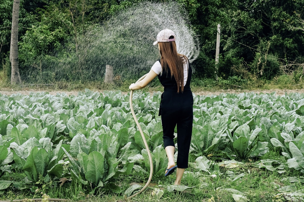 Hose and garden, organic gardening practices in 2026