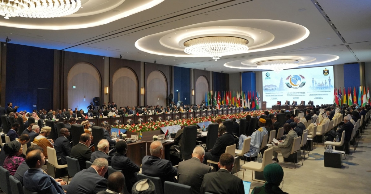 Photo from the OIC Foreign Ministers session in Baghdad