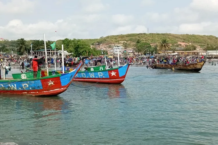 Marine Conservation Challenge