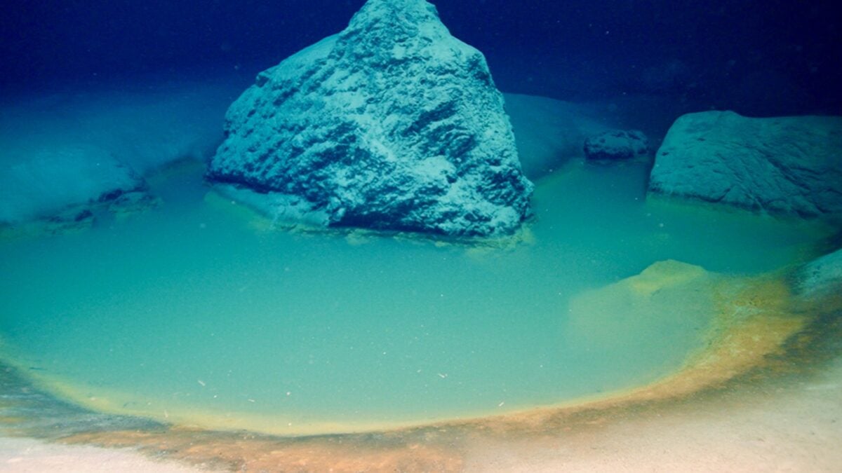 Red Sea brine pool explored by OceanX