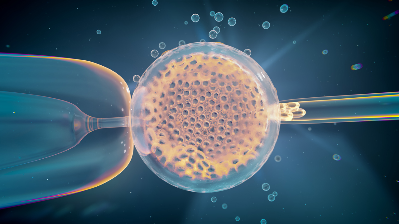 Korean media coverage of fertility treatment patient surge and non-covered price hikes