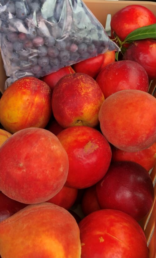 Freshly harvested peaches and berries at peak season
