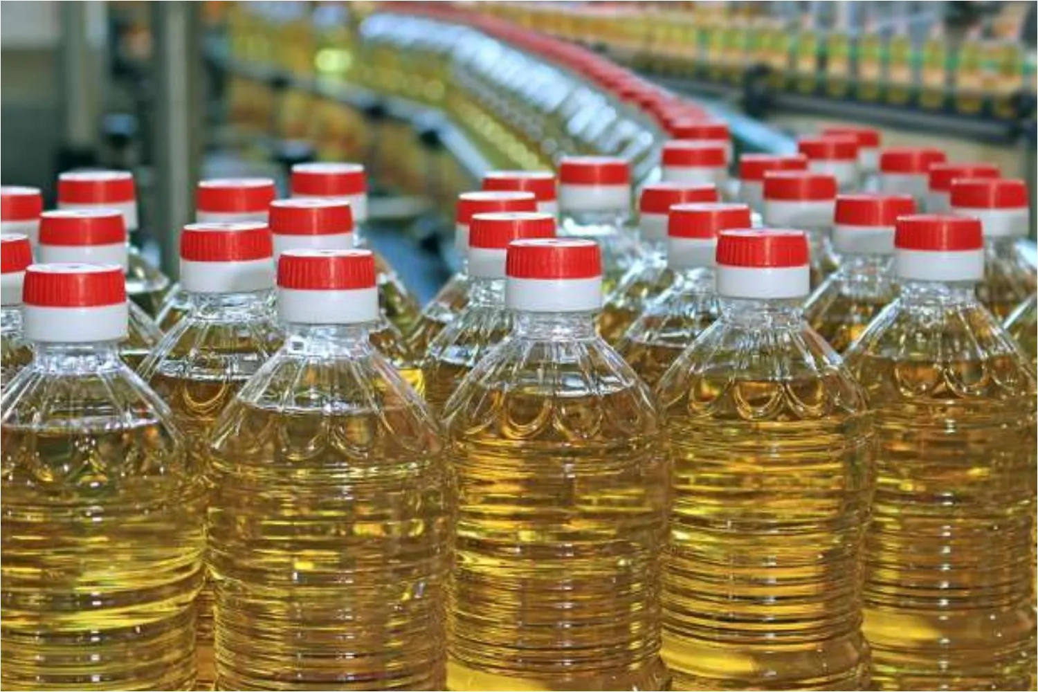 Edible oil imports in India