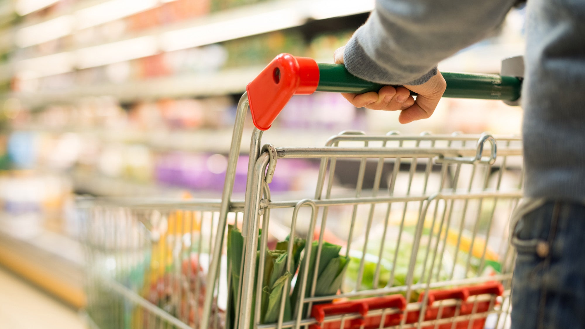 Harvard nutrition faculty examining evidence for new 2025-2030 Dietary Guidelines