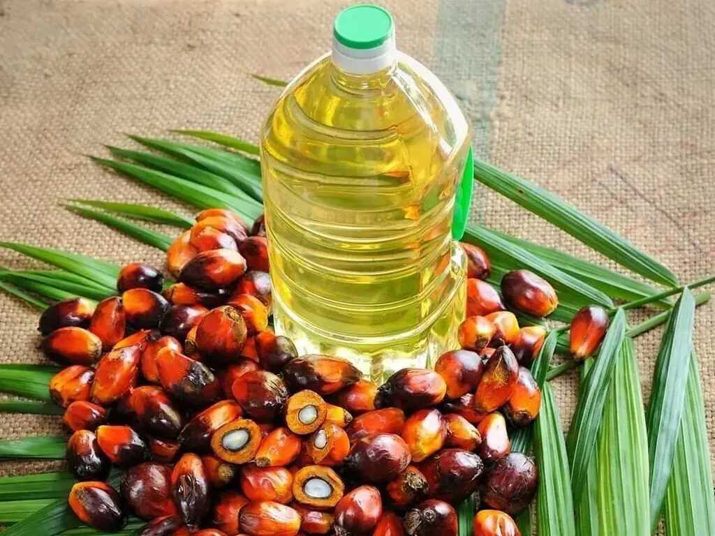 Palm oil chart showing price movement
