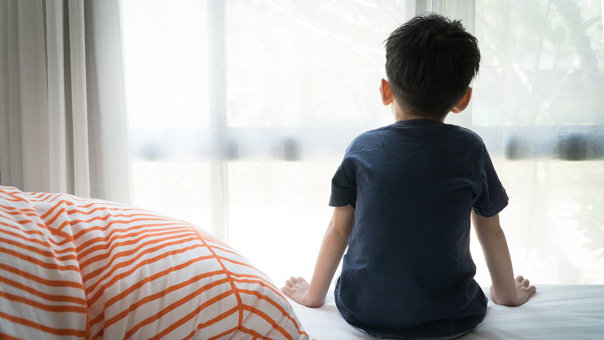 Image related to social skill improvements from brain stimulation in children with autism