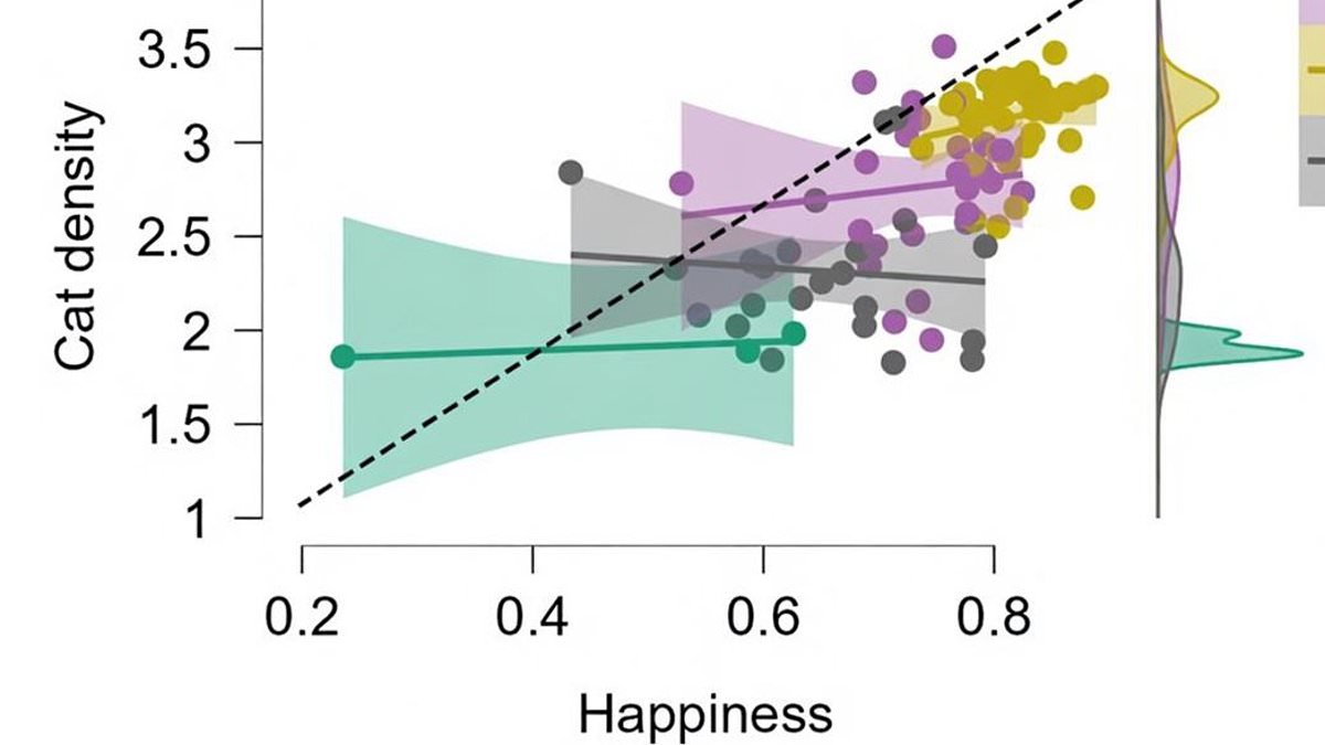 Cats and Happiness Study