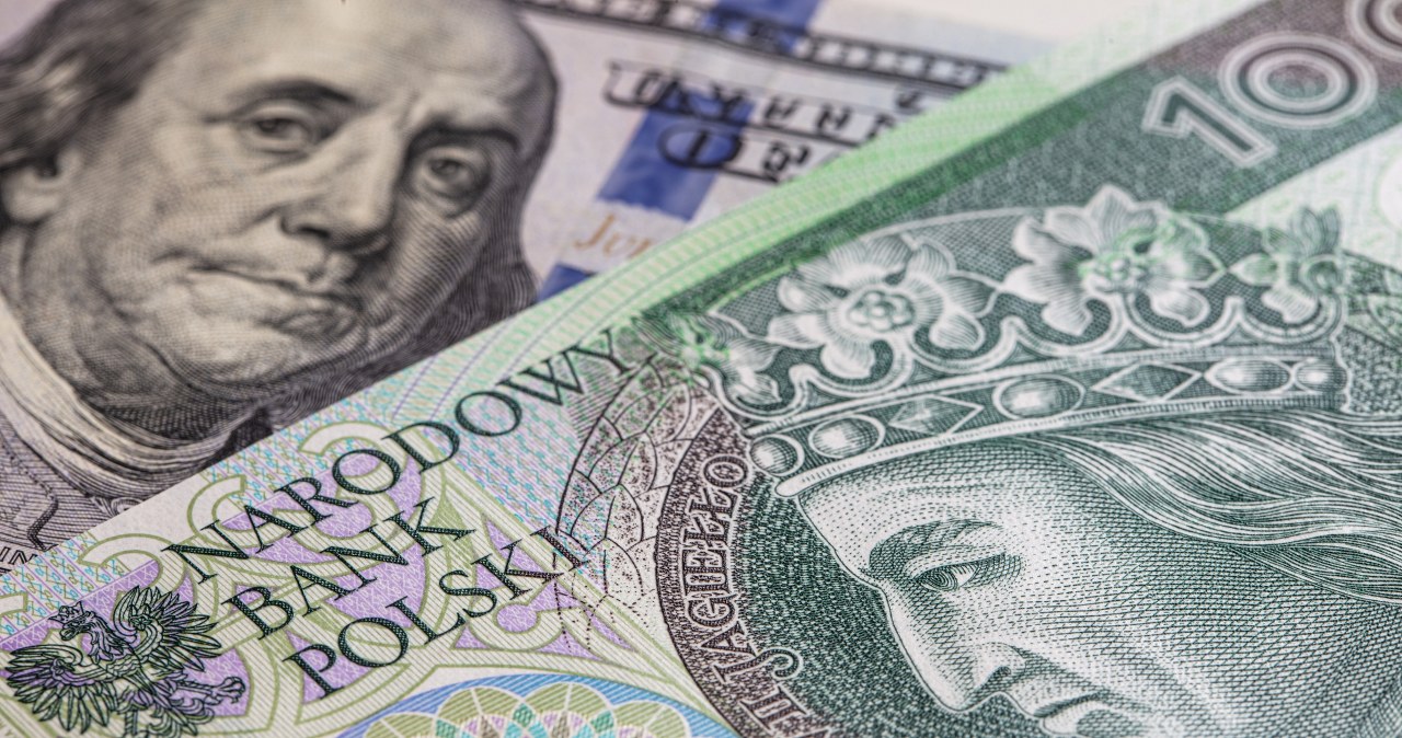Weak zloty: euro and dollar on the rise