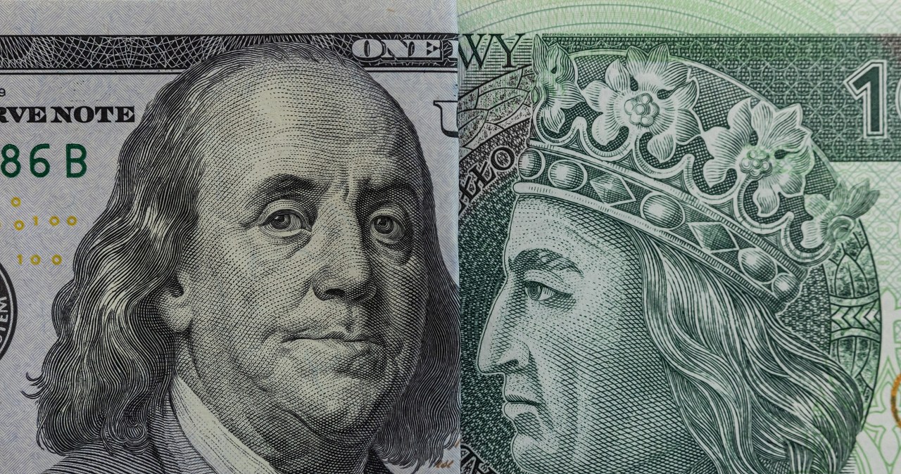 Zloty Stability