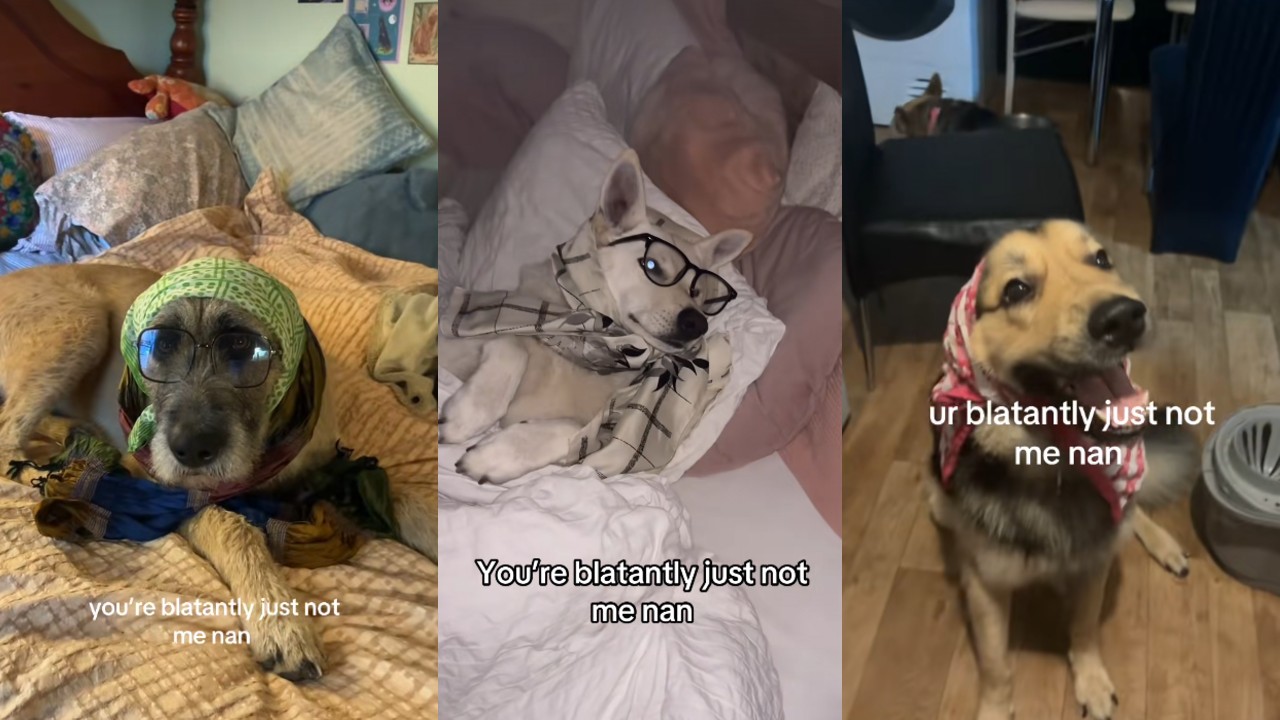 Screenshot from TikTok audio-driven meme showing comedy skit character