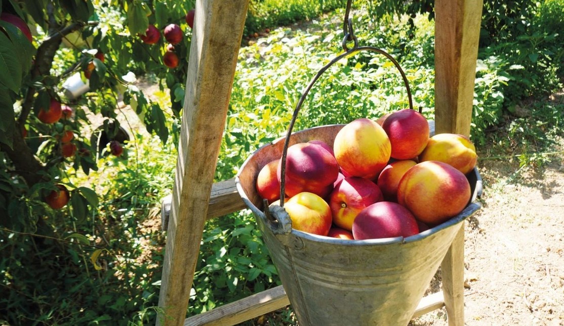 Bulls Girişim invests in Türkiye's food sector