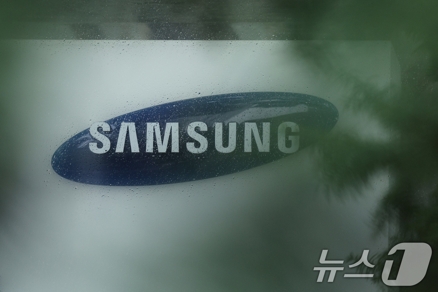 Samsung Electronics Stock Rise