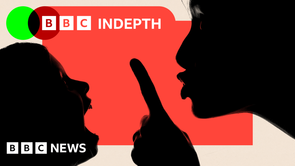 BBC Article Image on Parenting Stress
