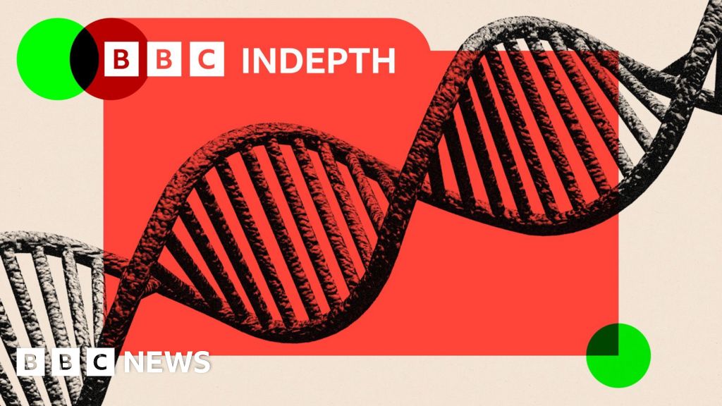 AI의 수학 발견 관련 BBC 뉴스 보도 이미지