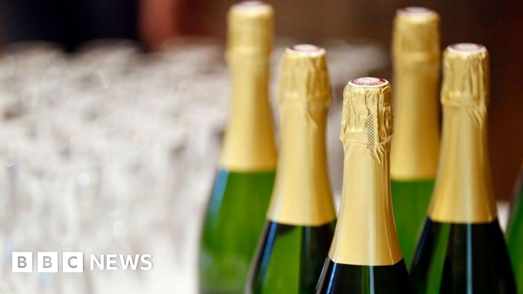 Champagne vineyard after heatwave