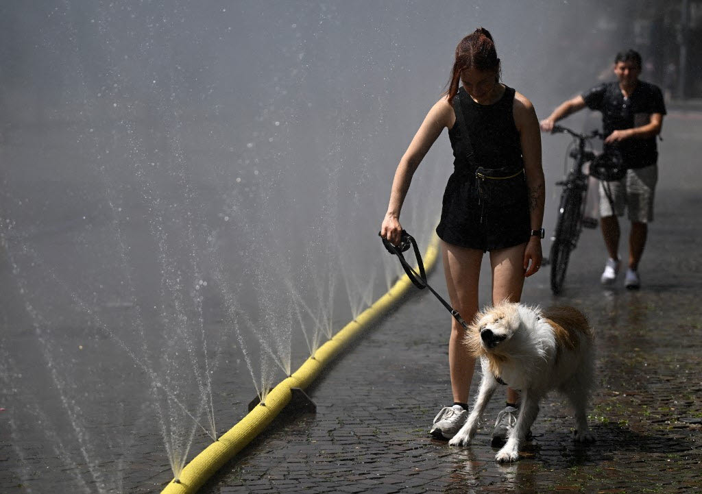 Image showing the increase in pet cooling product exports amid European heatwaves