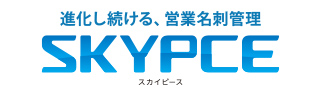 Sky Co. press release on Gemini Enterprise app adoption