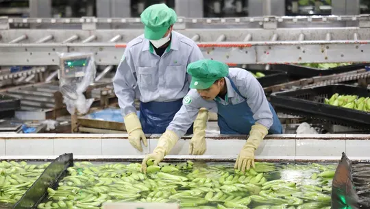 Vietnam's industrial production sites are expanding to meet new FDI demands