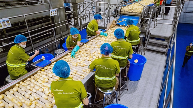 Ninh Bình industrial zone under development for high-tech manufacturing