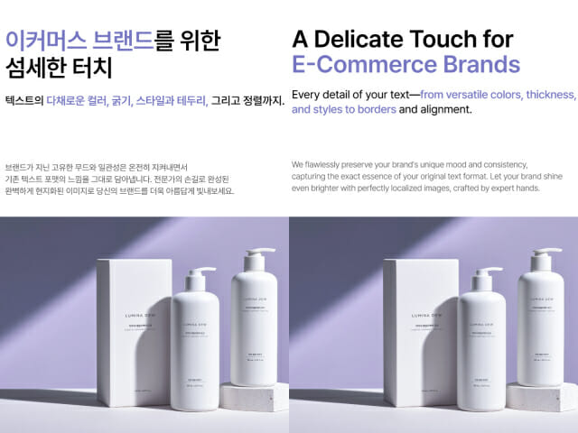 AI E-commerce Translation Service Image
