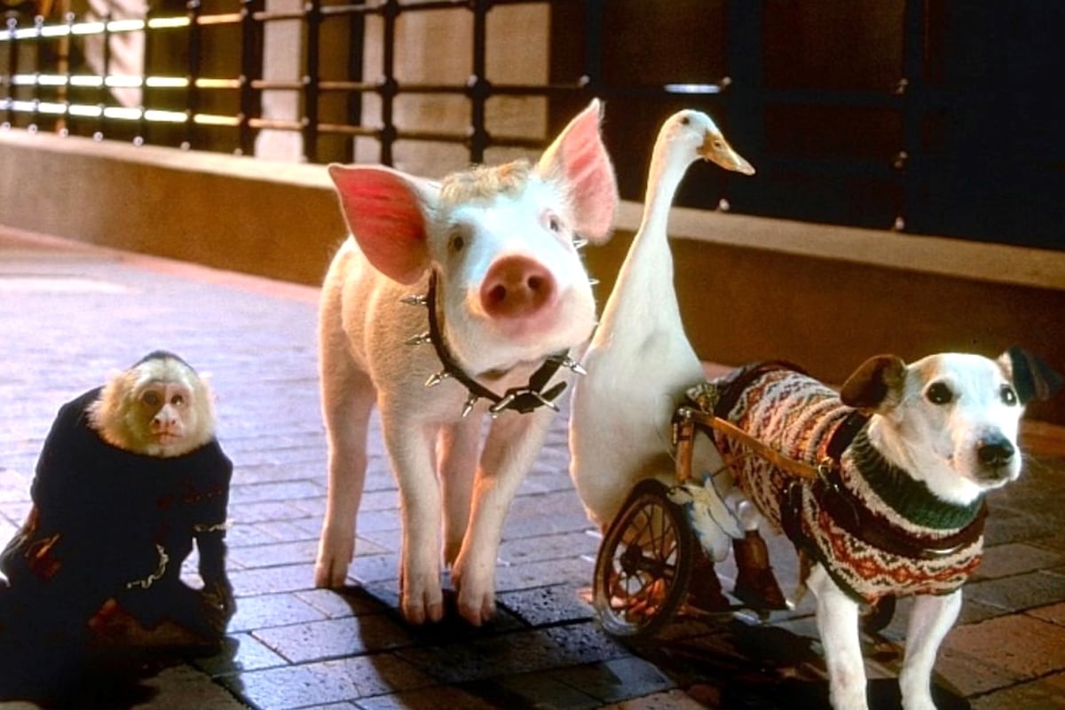 Conceptual image representing AI interaction with animal communication