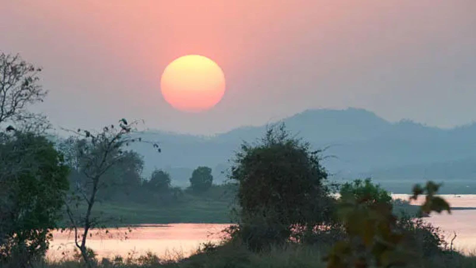 Satpura National Park in India, representing the kind of tropical forest habitat most at risk from compound climate extremes