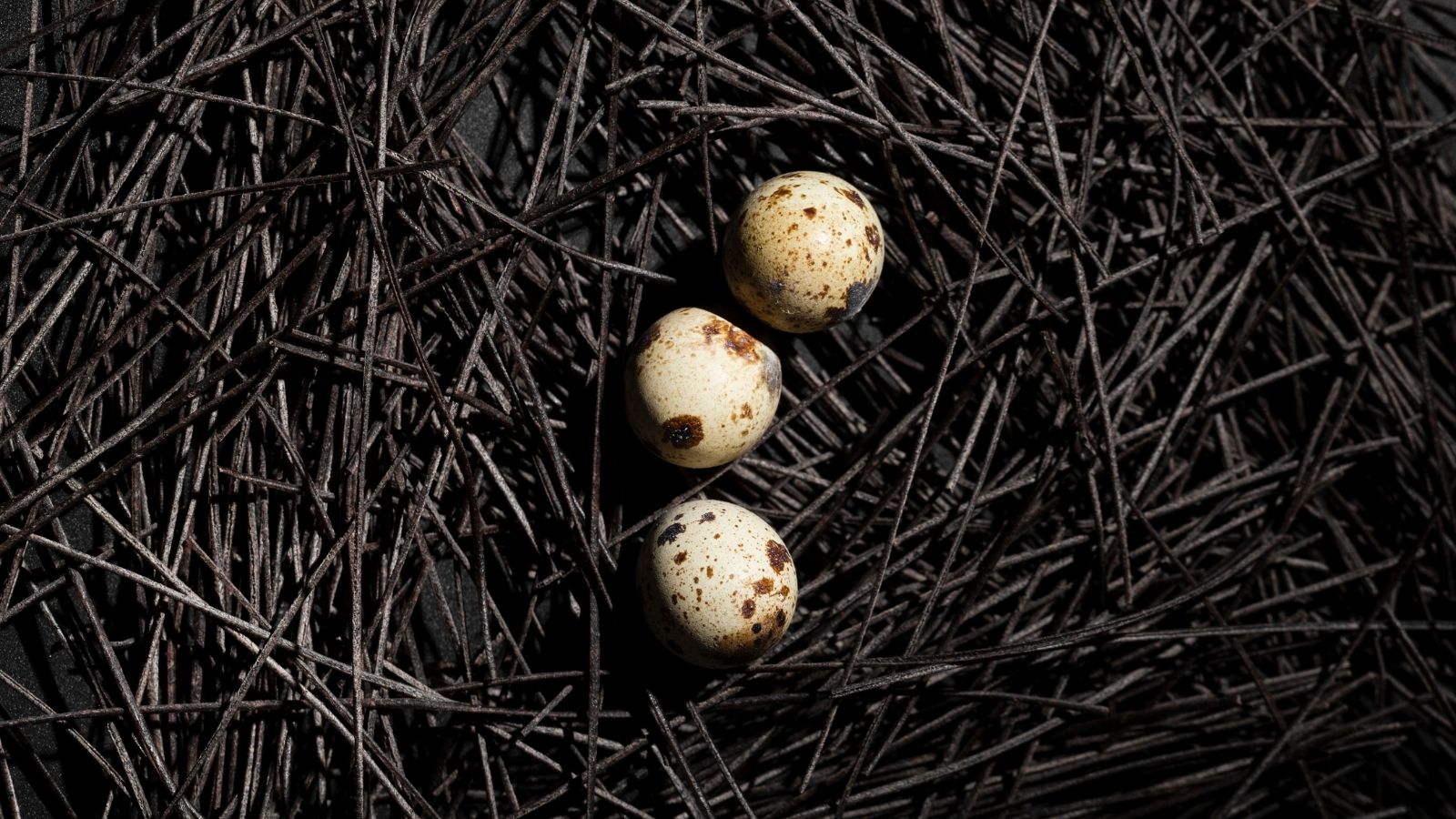 3D-printed artificial eggs used in de-extinction research