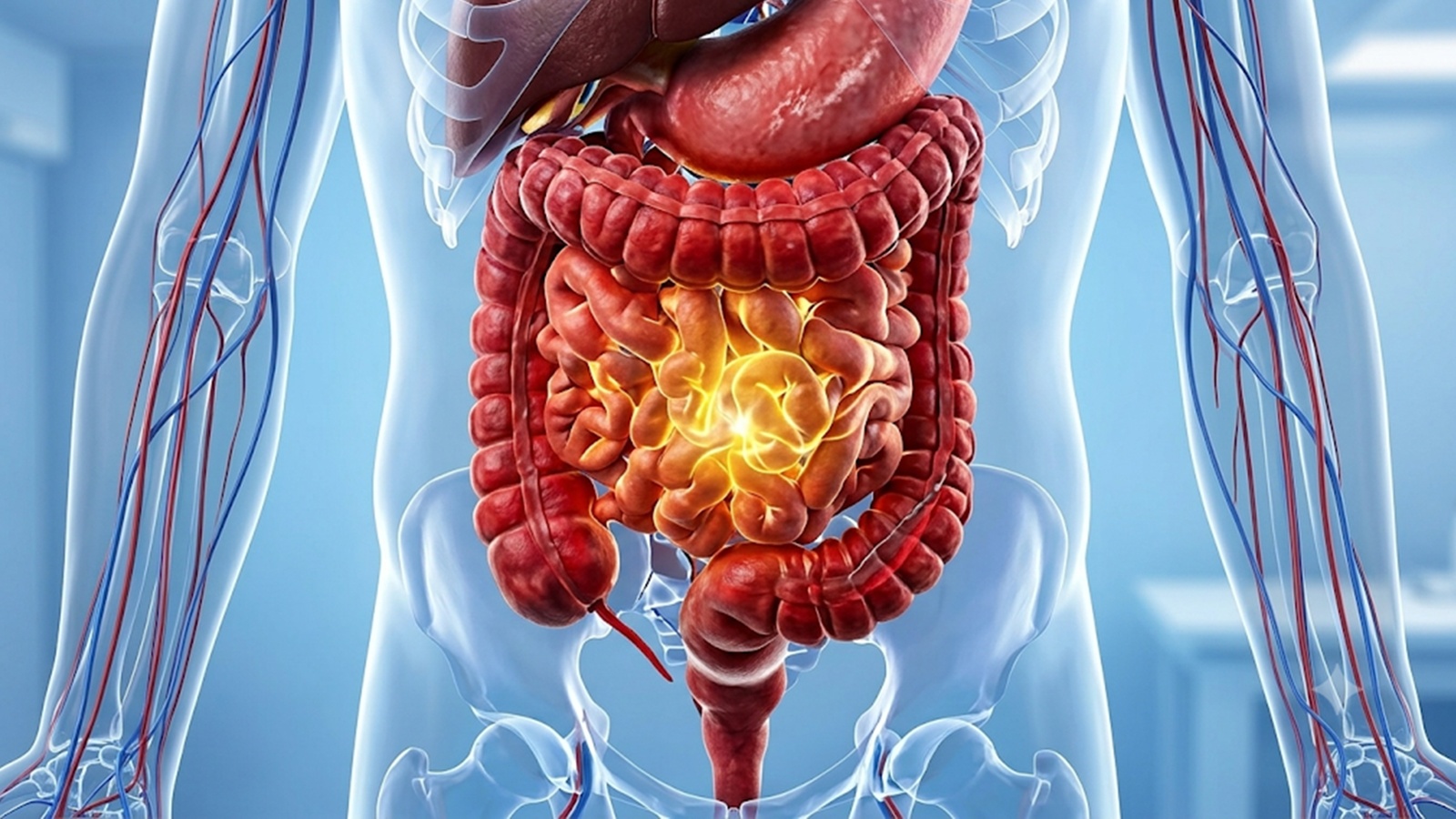Gut Microbiome Changes and Health After 45