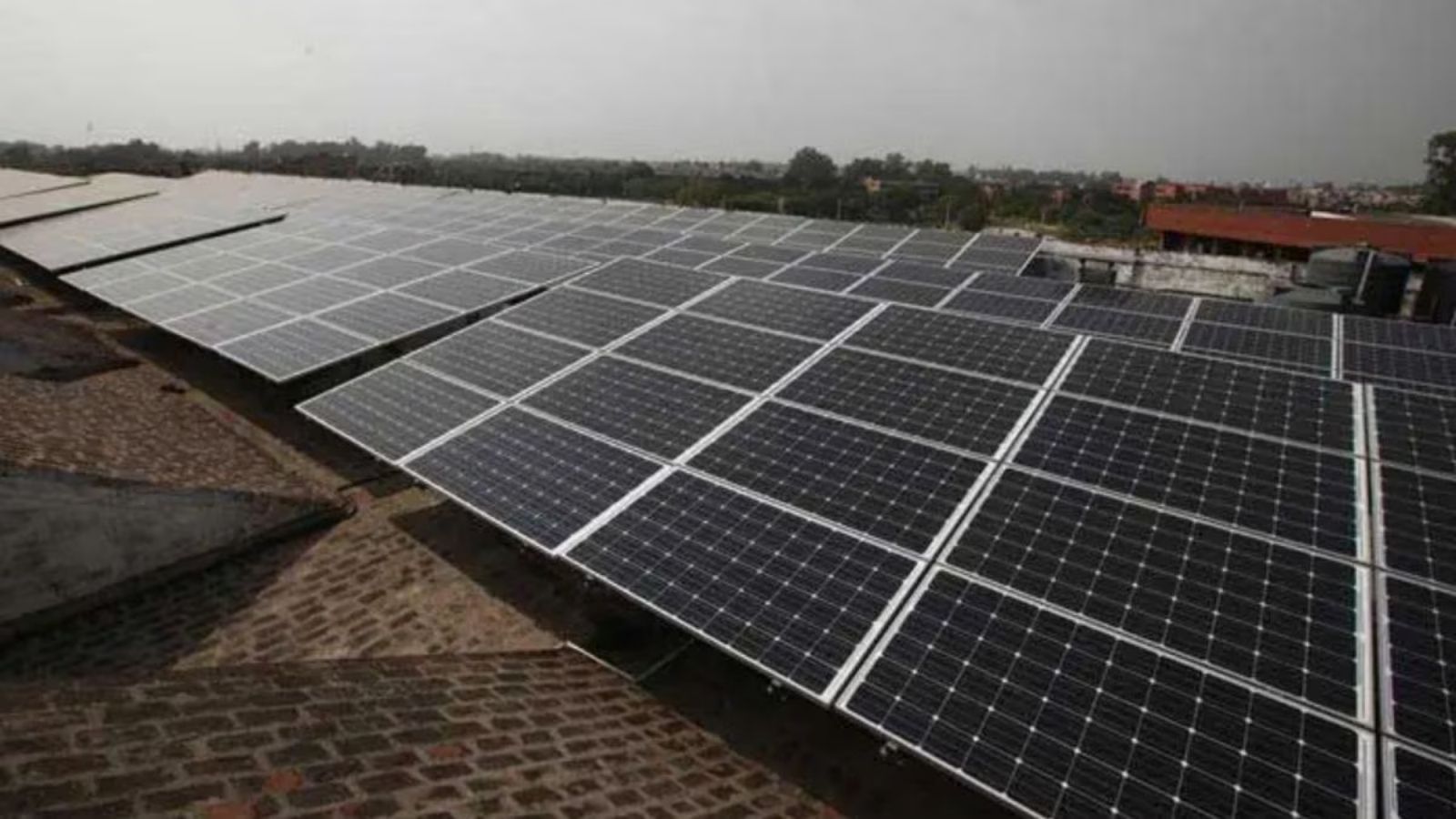 Diagram showing solar panels integrated with crop cultivation