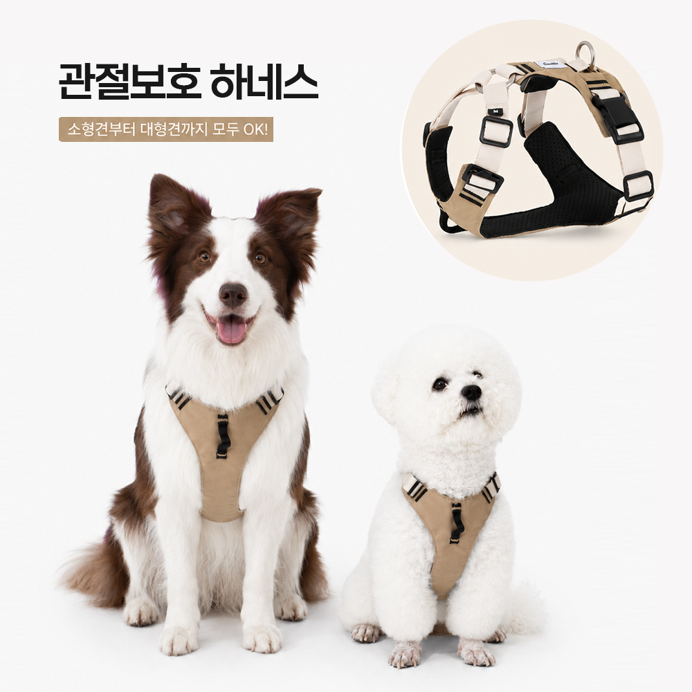 2026년 첫 반려견을 맞이하는 보호자를 위한 필수 아이템 가이드