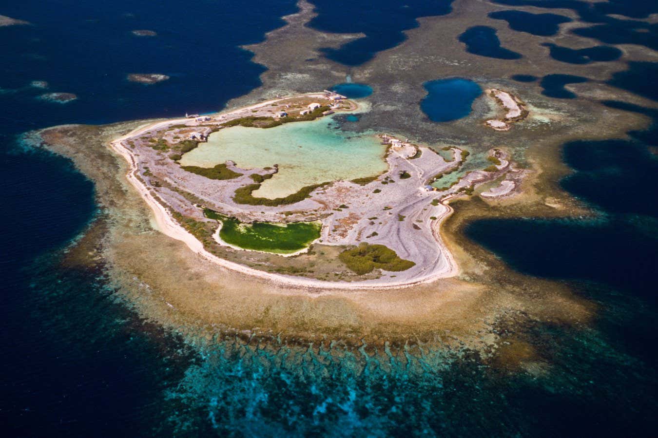 Coral reef at Houtman Abrolhos Islands that survived extreme 2025 heatwave