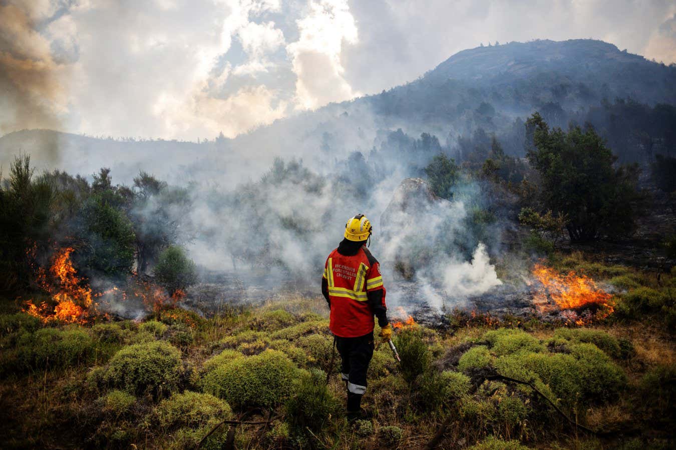 Scientists tracking rising global temperatures amid predictions that 2026 will set a new heat record