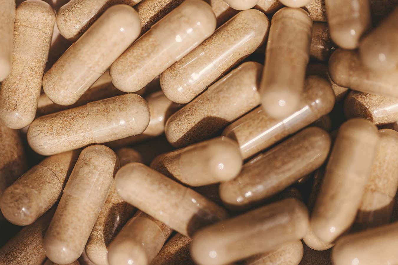 Dietary interventions show potential for restoring age-related microbiome decline