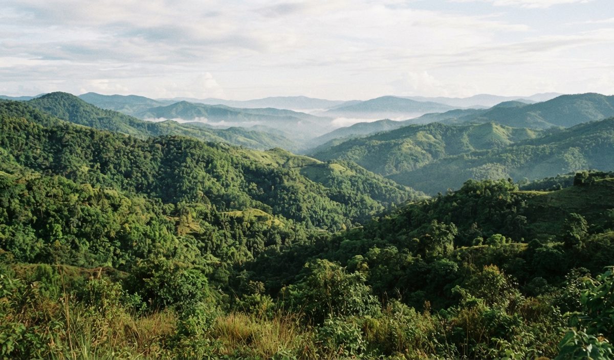 Mizoram tourism landscape