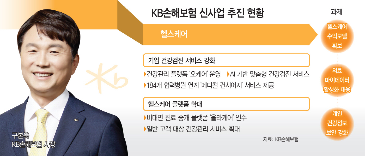 KB손해보험 헬스케어 전략 보도