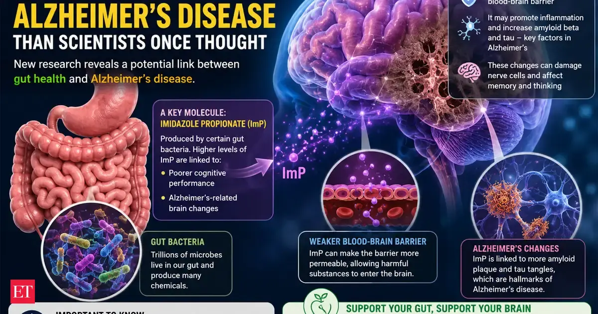Gut-brain connection illustration