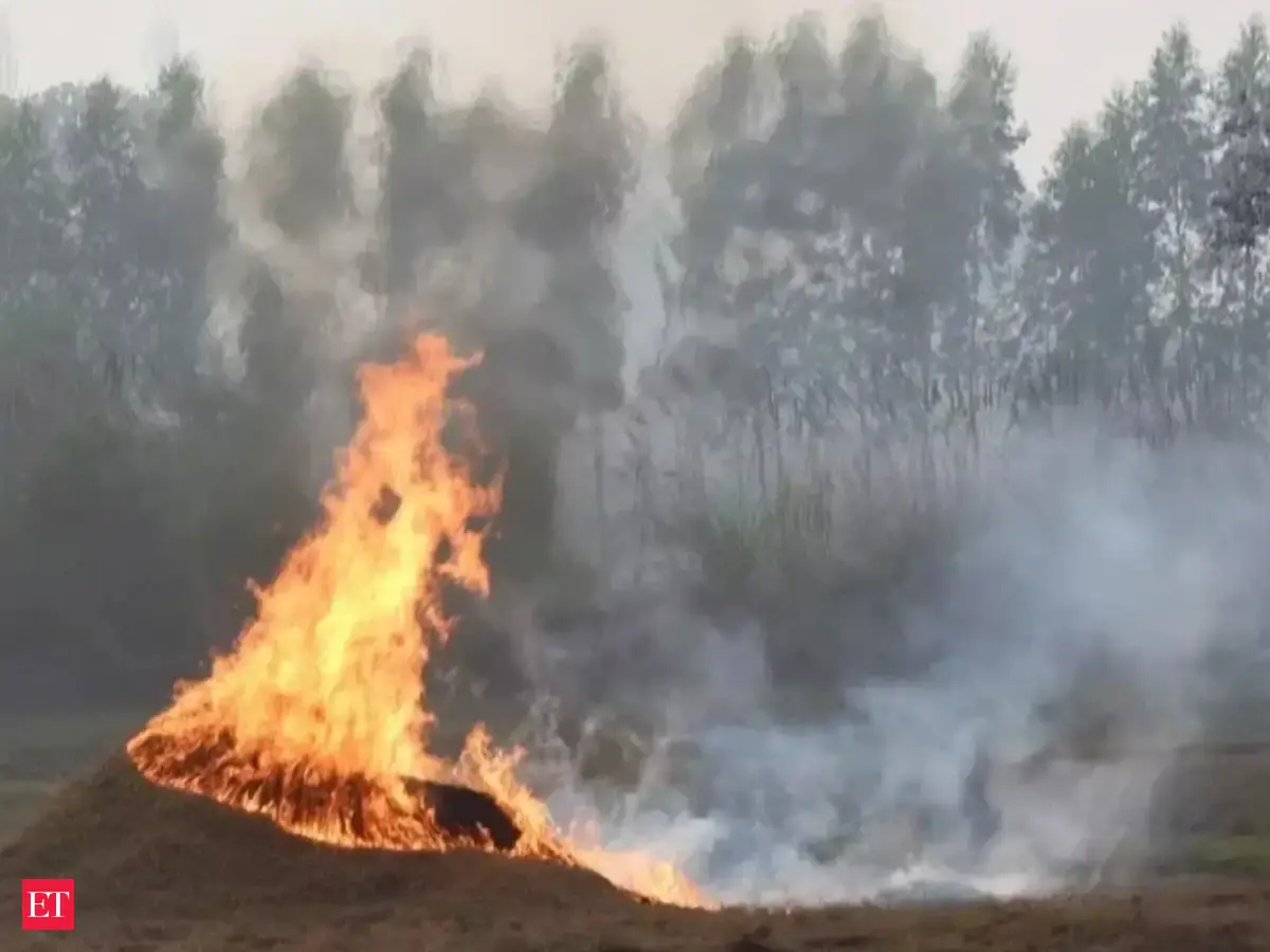 Punjab records more stubble fires than last year