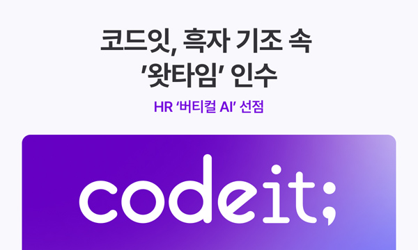 코드잇 M&A 관련 이미지