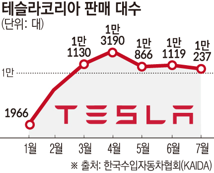 Tesla Model Y gaining attention in the domestic mid-size SUV market