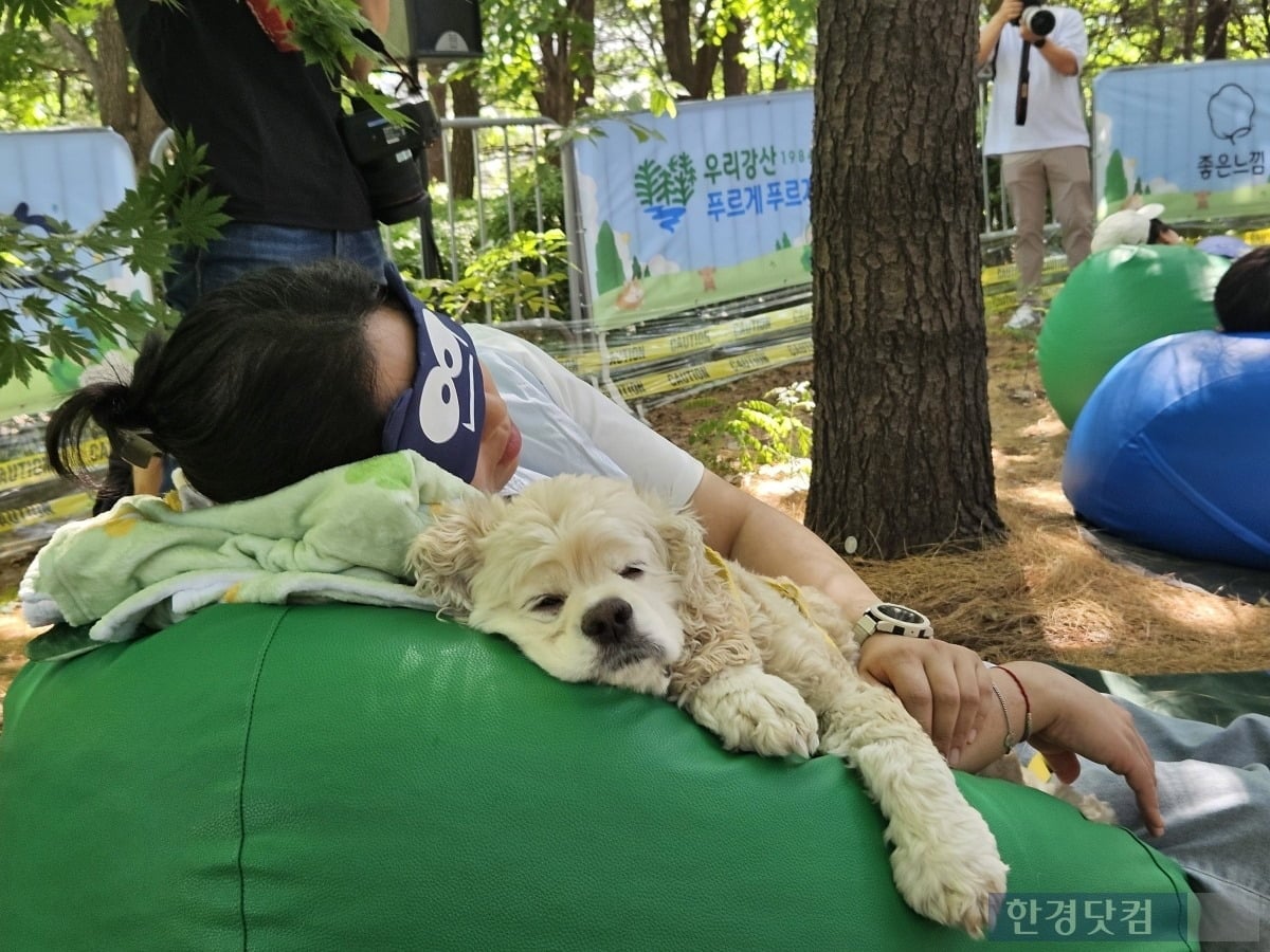 Growing Pet Wellness Market