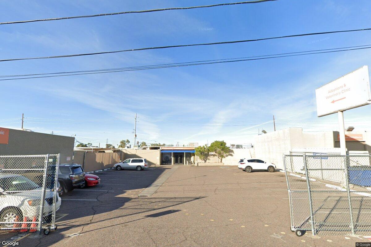 Starved rescue dog from Phoenix rental property case