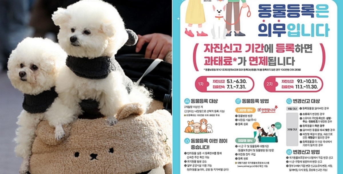 반려동물 동물등록 안내 이미지