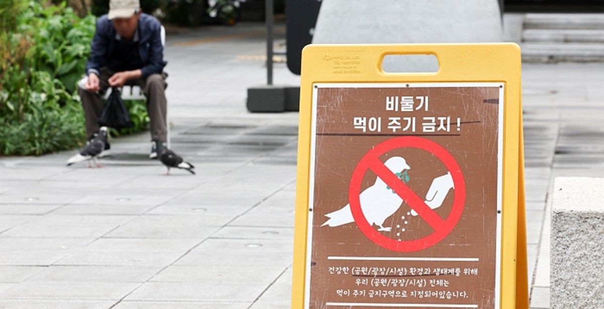 서울시 비둘기 먹이 주기 금지 안내