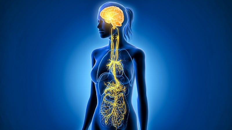 Illustration visualizing the vagus nerve and the brain infiltration pathway of gut bacteria
