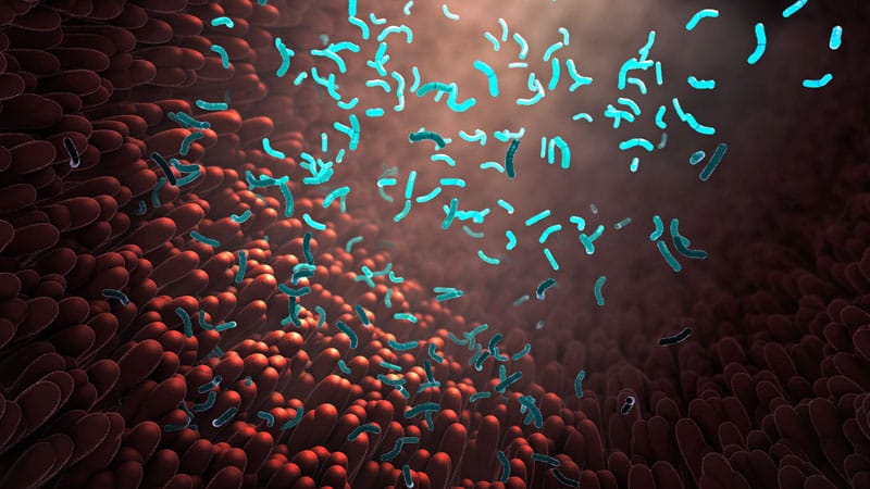 Thumbnail of research on the link between gut microbiome and Parkinson's risk