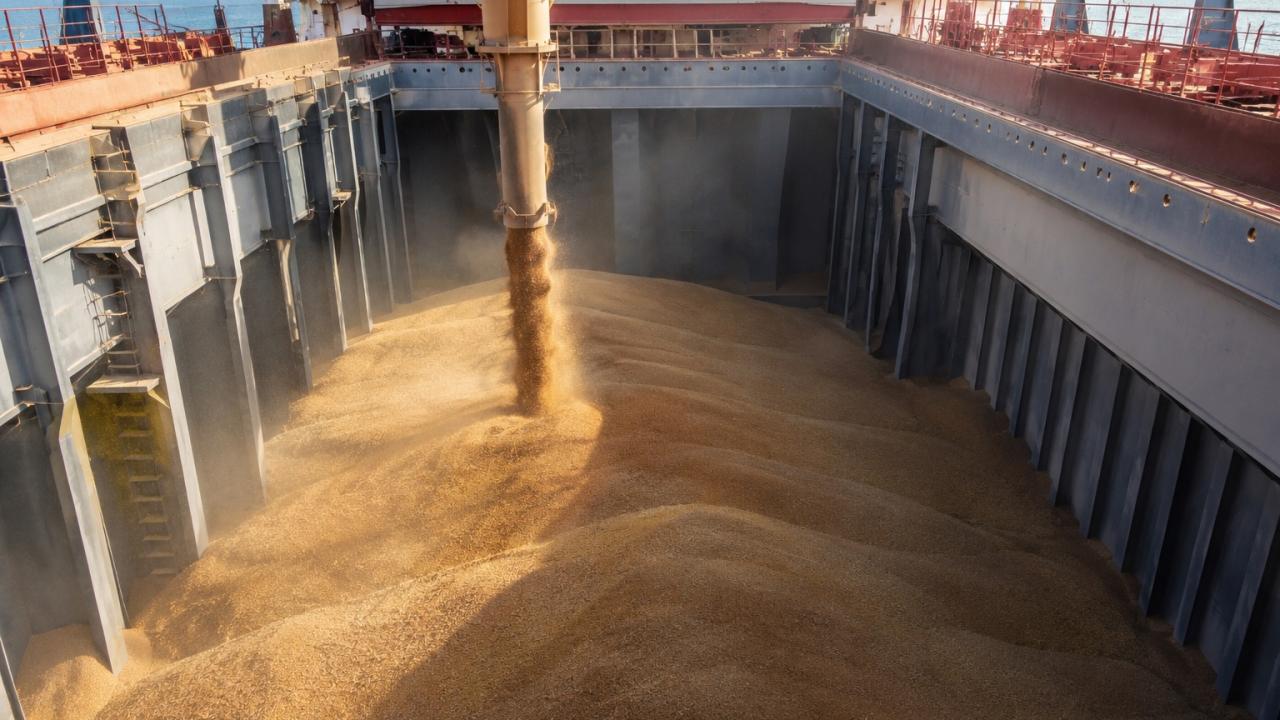 Russian port disruption impact on grain logistics