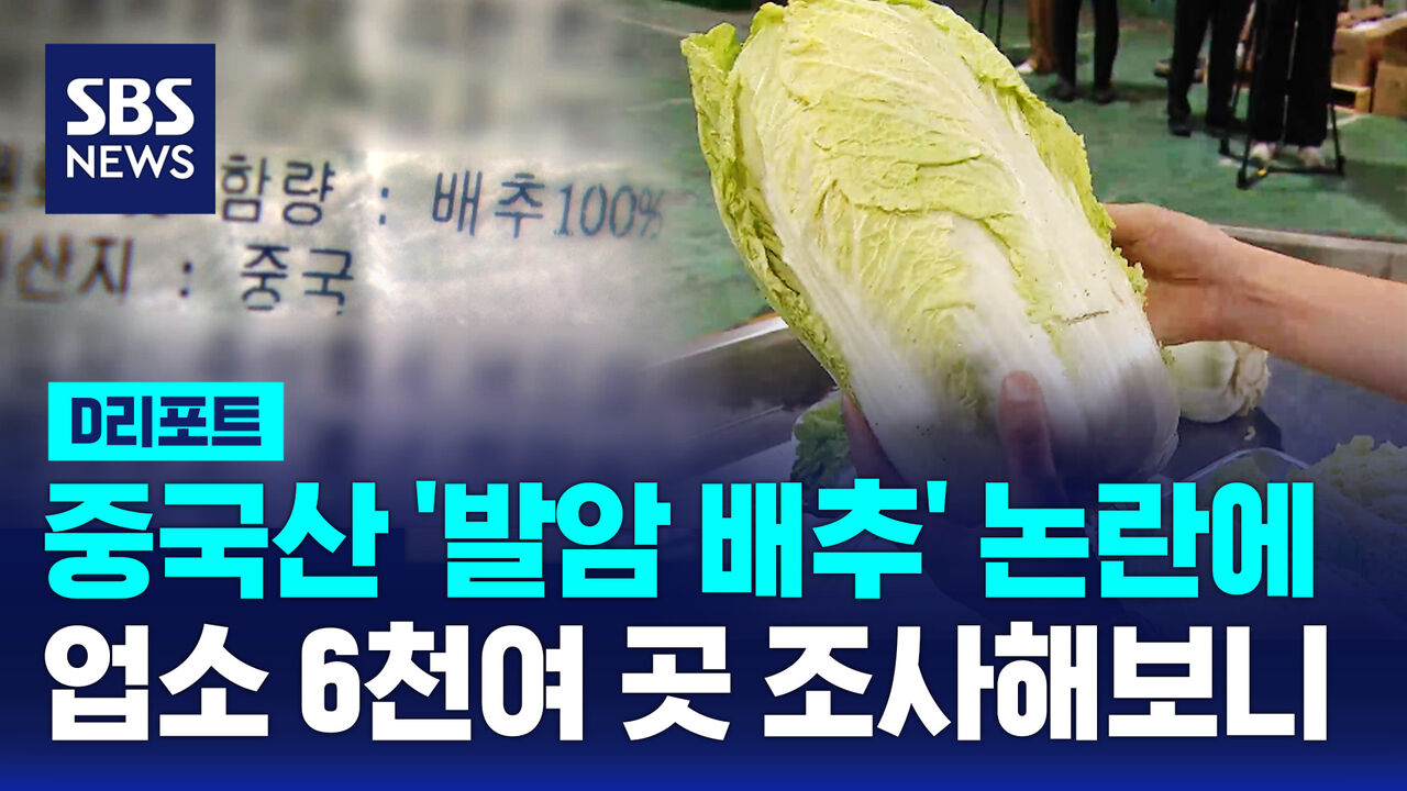 Seoul city officials conducting safety checks on cabbages and kimchi at a local market